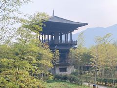 -大唐贡茶院