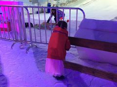 -世界之窗阿尔卑斯冰雪世界
