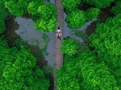 -桤木河湿地公园