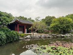 -顺峰山公园