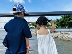 -野狸岛