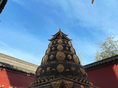 -西安市广仁寺
