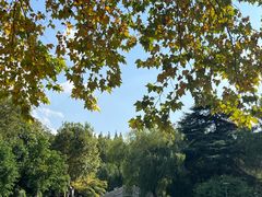 -泰州凤城河风景区-泰山公园