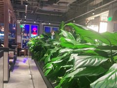 大堂-管氏翅吧(台湾街店)