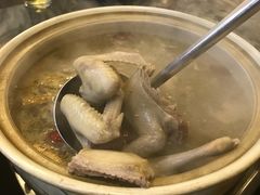五指毛桃药膳乳鸽-鸽鸟轩(石岐店)