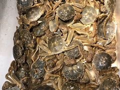-苏格里岛自助烧烤火锅(花果园兰花广场店)