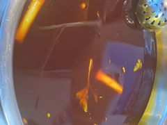 -肖肖酸萝卜鱼火锅(总店)