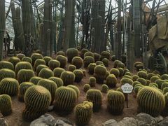 -南山植物园