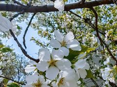 -钟山体育运动公园