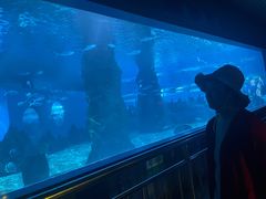 -北戴河圣蓝海洋公园