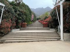 -西安市金南山绿色墓园