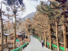 -南岳衡山风景名胜区