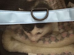 -瑞鹏宠物医院·爱宠堂·骨外专科(西荷分院)