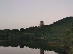 -东莞市大岭山森林公园