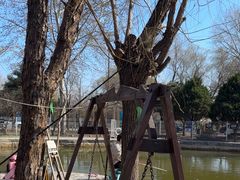 -酷鱼垂钓CLUB(朝阳区博大路店 )