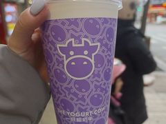 -一只酸奶牛(春熙路店)