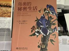 -德基艺术博物馆