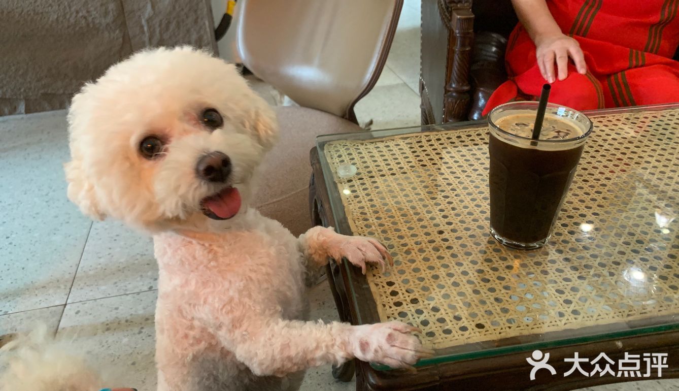 又是一家满分咖啡店