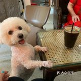 又是一家满分咖啡店