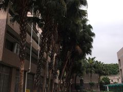 -广州大学(桂花岗校区)
