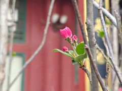 -晋阳饭庄(虎坊桥店)