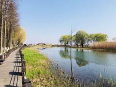 -太湖湖滨国家湿地公园-停车场