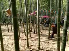 -陶祖圣境风景区