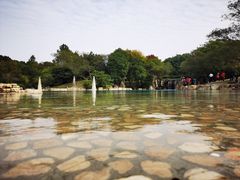 -上海月湖雕塑公园