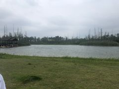 -白鹭湾湿地公园