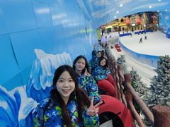 -世界之窗阿尔卑斯冰雪世界