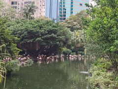 -九龙公园