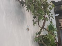 -耳艺采耳·足疗·按摩SPA(市桥店)