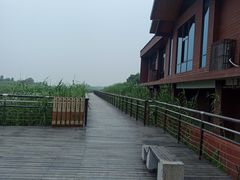 -苏州太湖湖滨国家湿地公园