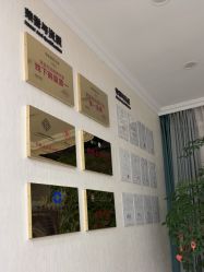 -苗医生草本科技祛痘