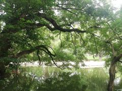 -人民公园(罗湖区)