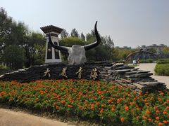 -武清南湖绿博园