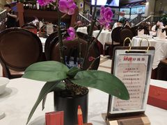 -金河半岛园林酒家(金融城店)