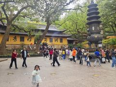 -普陀山风景名胜区-法雨禅寺