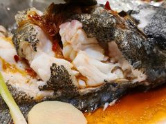 活龙胆鱼-船梆煮•蒸汽海鲜·炉火烤肉(五四广场店)