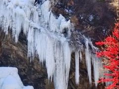 -少华山国家森林公园