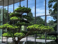 -广州绿地中央广场