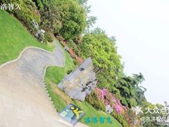 -上海鲜花港