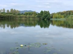 -浙江农林大学(东湖校区)
