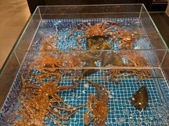 -江户前日本料理(瑞诗酒店店)