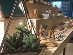 -Trend1881视光·蔡司视觉(领展广场店)