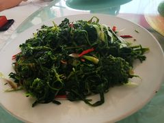 -庆岭迎宾园正宗活鱼馆