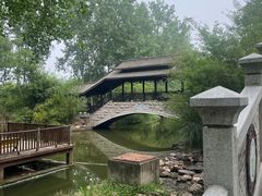 -合肥滨湖国家森林公园