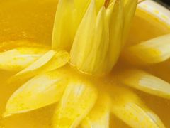 金瓜松茸野菌汤-福慧慈缘素食餐厅(王府井店)