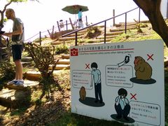 -岚山猴子公园