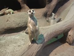 -苏州海洋馆